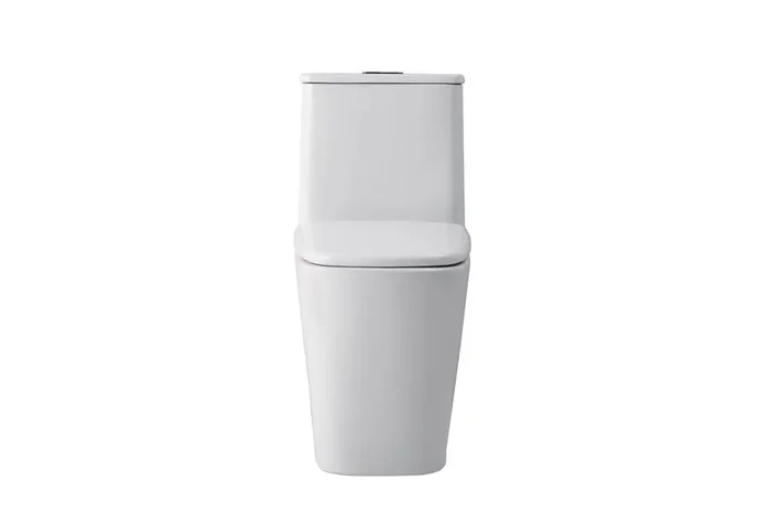 Elegant Furniture & Lighting – Winslet One-piece floor Square Toilet 27x14x31 in White – TOL2003