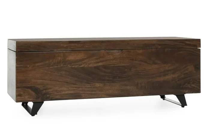 Kosas Home – Axis 46in Storage Trunk Dark Brown – 52005585